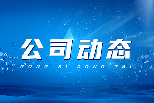 杭州高新區(qū)領(lǐng)導蒞臨海康威視考察工作